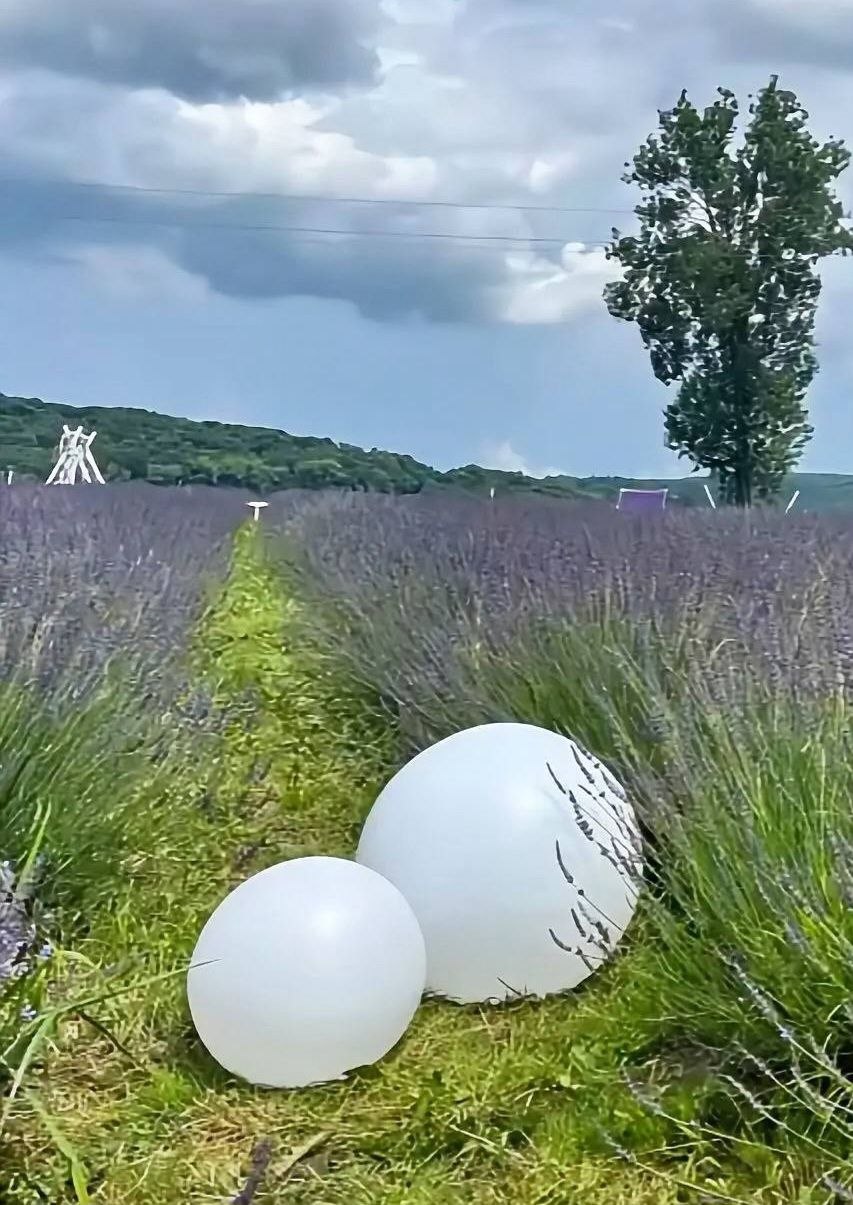 Decoratieve Bol