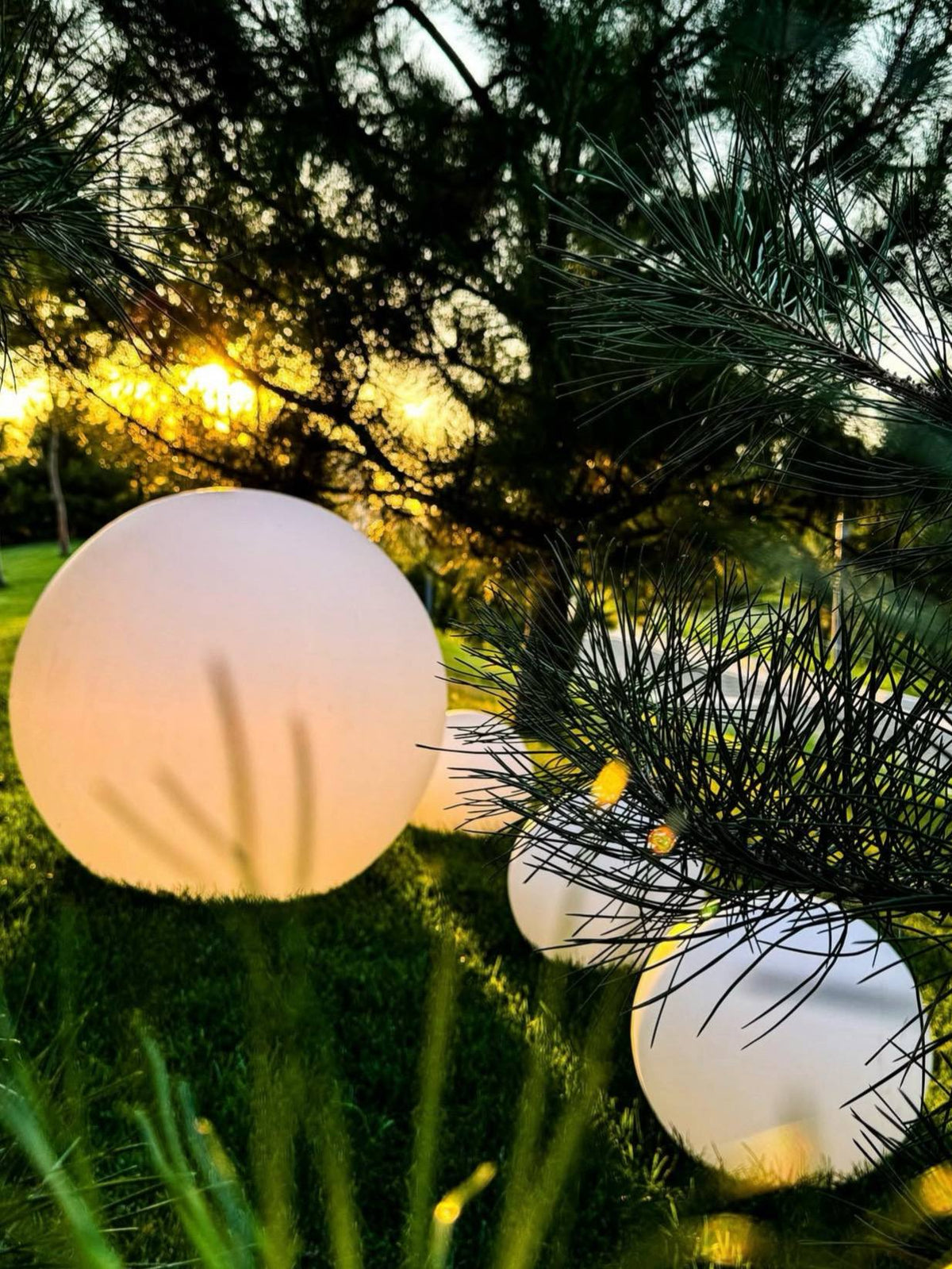 Decoratieve Bollen Set
